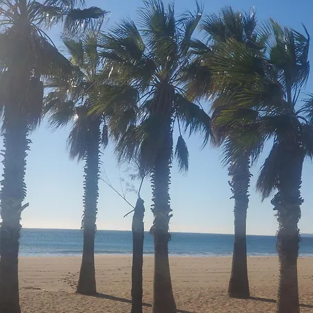 Vue Sur Port Pour Ce T2-3 Cap Hermes, 6 Cou * Fréjus