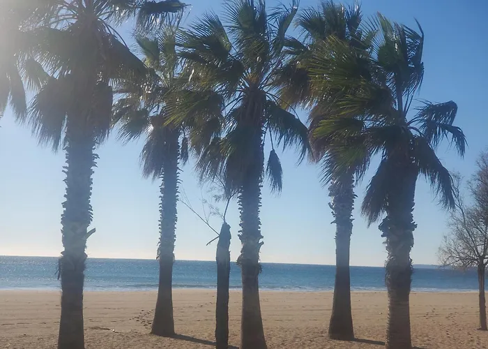 Vue Sur Port Pour Ce T2-3 Cap Hermes, 6 Cou * Fréjus